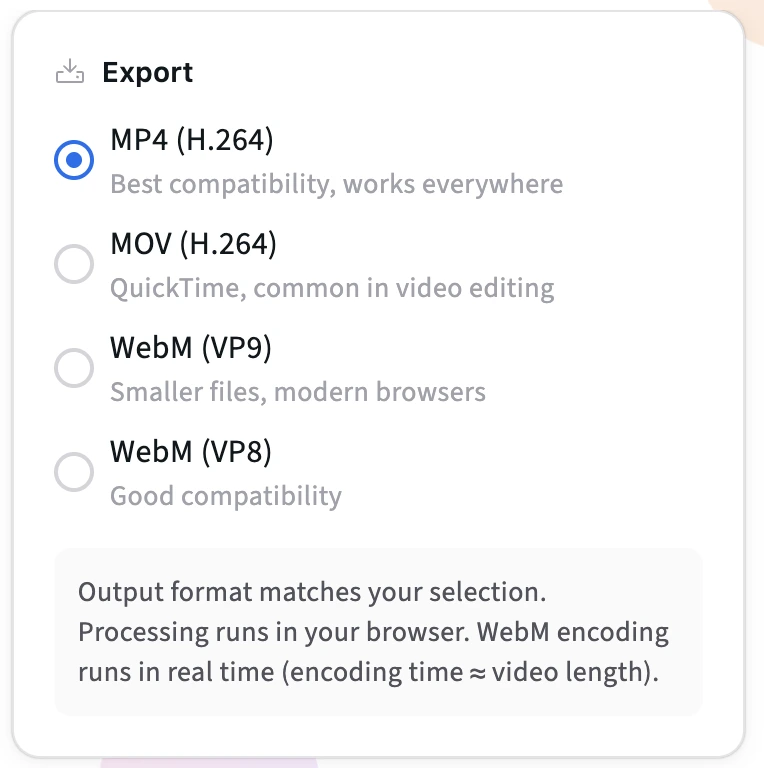 Dimensions and export format options in the resize video tool